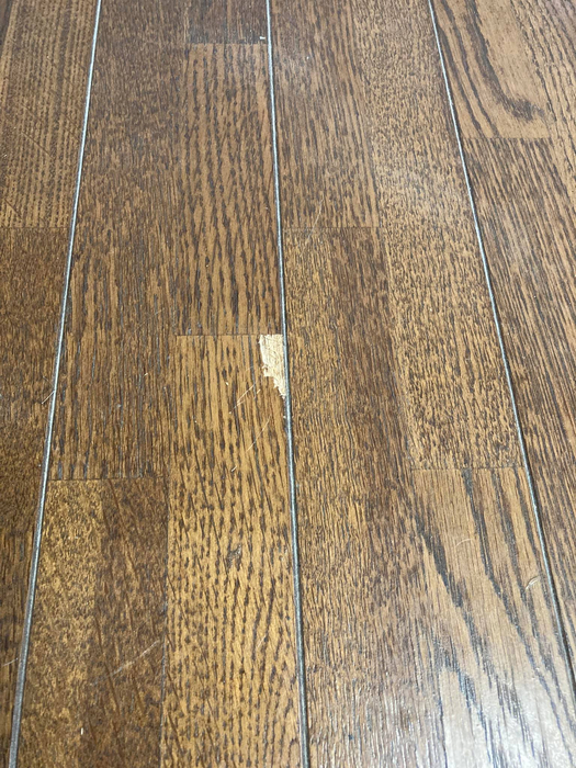 画像240