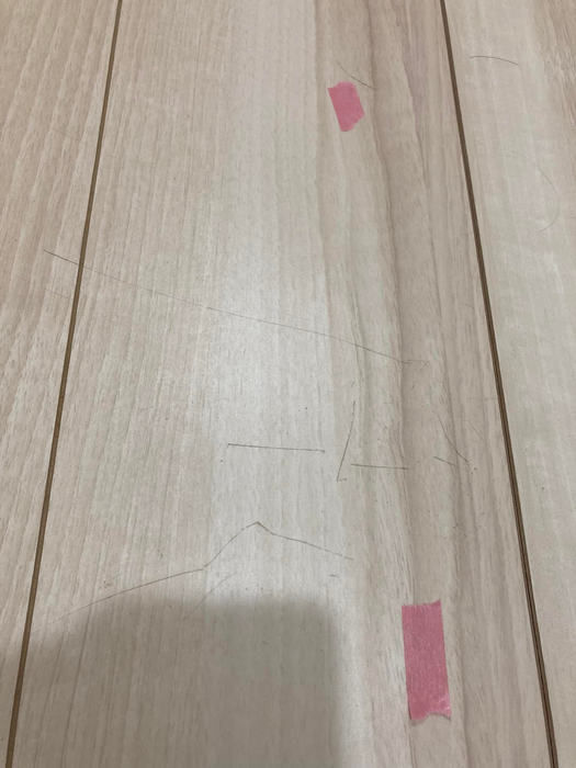 画像249