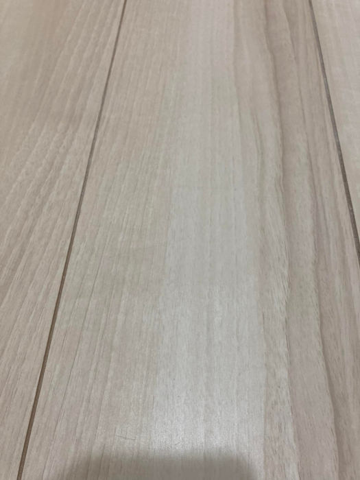 画像250